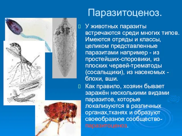 Паразитоценоз. У животных паразиты встречаются среди многих типов. Имеются отряды