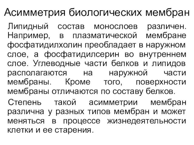 Асимметрия биологических мембран Липидный состав монослоев различен. Например, в плазматической