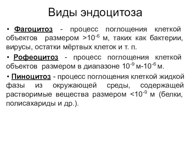 Виды эндоцитоза Фагоцитоз - процесс поглощения клеткой объектов размером >10-6