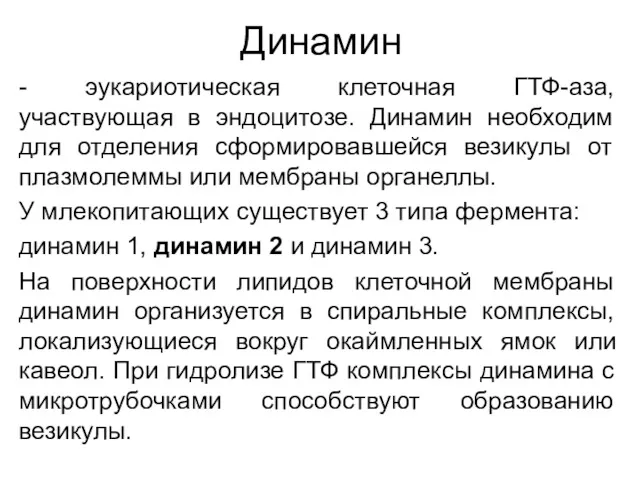 Динамин - эукариотическая клеточная ГТФ-аза, участвующая в эндоцитозе. Динамин необходим для отделения сформировавшейся