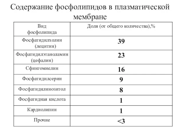 Содержание фосфолипидов в плазматической мембране