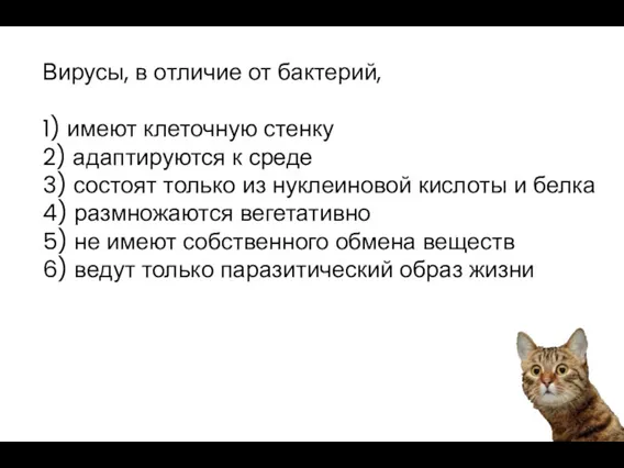 Вирусы, в отличие от бактерий, 1) имеют клеточную стенку 2) адаптируются к среде