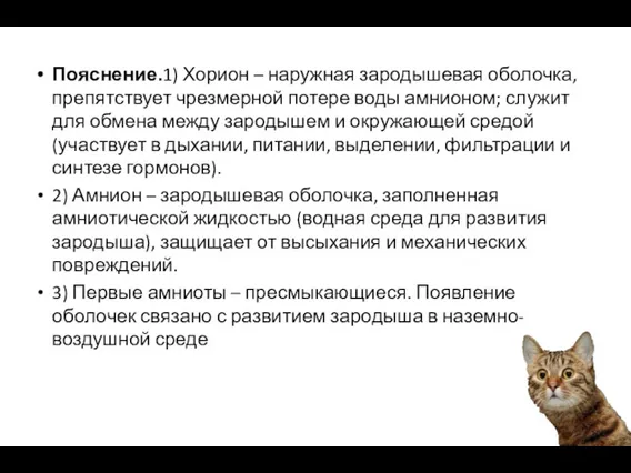 Пояснение.1) Хорион – наружная зародышевая оболочка, препятствует чрезмерной потере воды