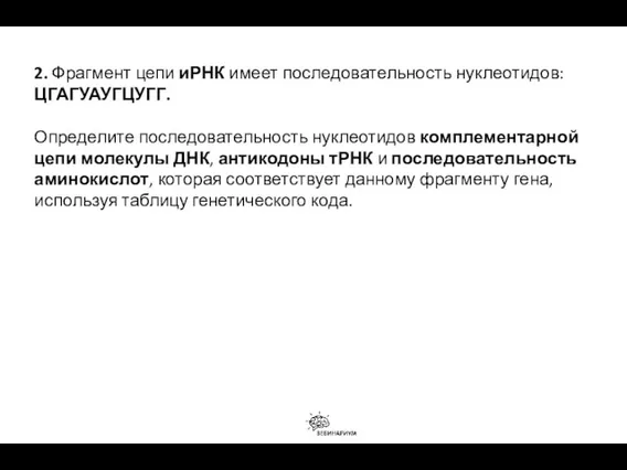 2. Фрагмент цепи иРНК имеет последовательность нуклеотидов: ЦГАГУАУГЦУГГ. Определите последовательность нуклеотидов комплементарной цепи