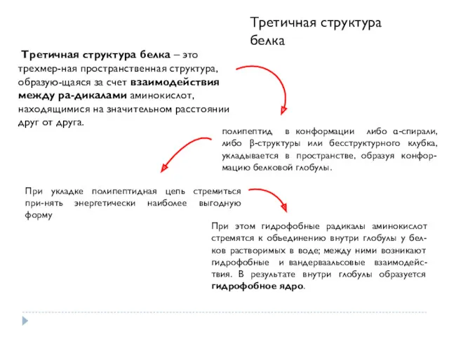 Третичная структура белка – это трехмер-ная пространственная структура, образую-щаяся за счет взаимодействия между