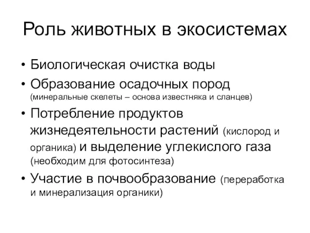 Роль животных в экосистемах Биологическая очистка воды Образование осадочных пород