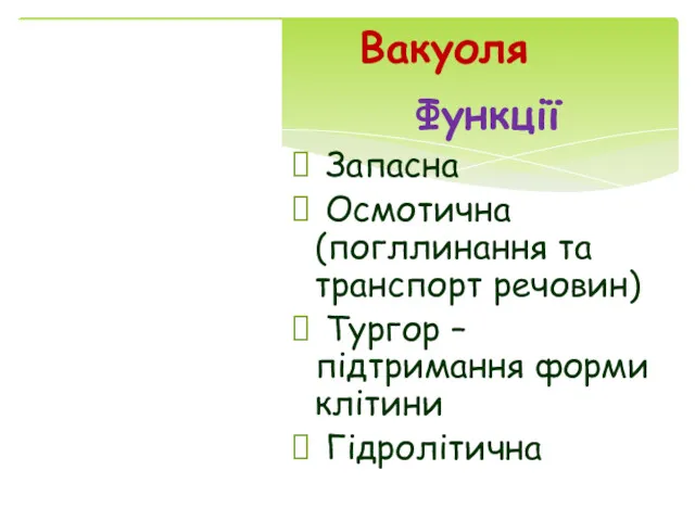 Вакуоля Функції Запасна Осмотична (погллинання та транспорт речовин) Тургор – підтримання форми клітини Гідролітична