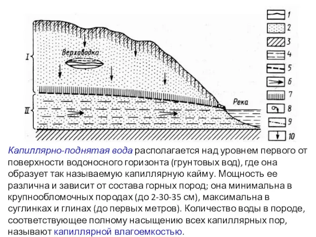 Капиллярно-поднятая вода располагается над уровнем первого от поверхности водоносного горизонта