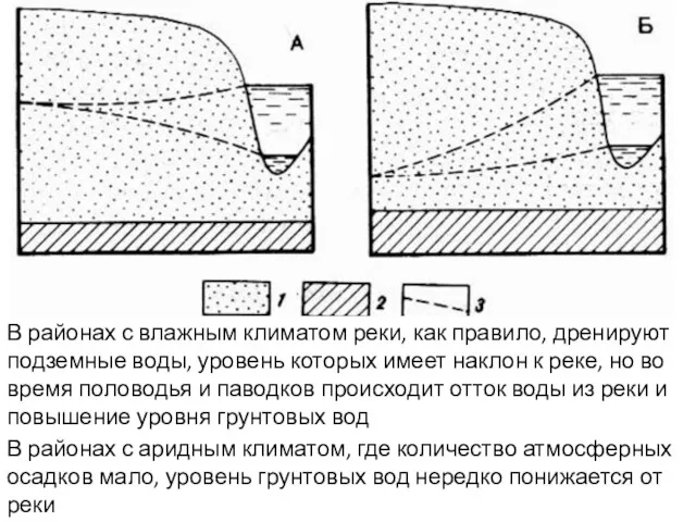 В районах с влажным климатом реки, как правило, дренируют подземные