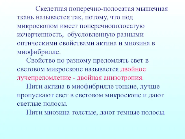 Скелетная поперечно-полосатая мышечная ткань называется так, потому, что под микроскопом