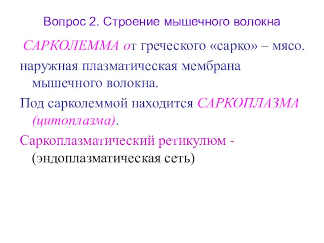 Вопрос 2. Строение мышечного волокна САРКОЛЕММА от греческого «сарко» –