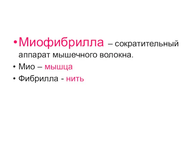 Миофибрилла – сократительный аппарат мышечного волокна. Мио – мышца Фибрилла - нить