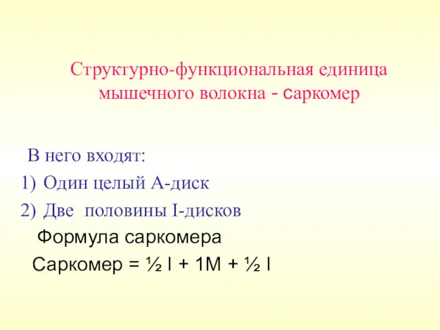 Структурно-функциональная единица мышечного волокна - саркомер В него входят: Один