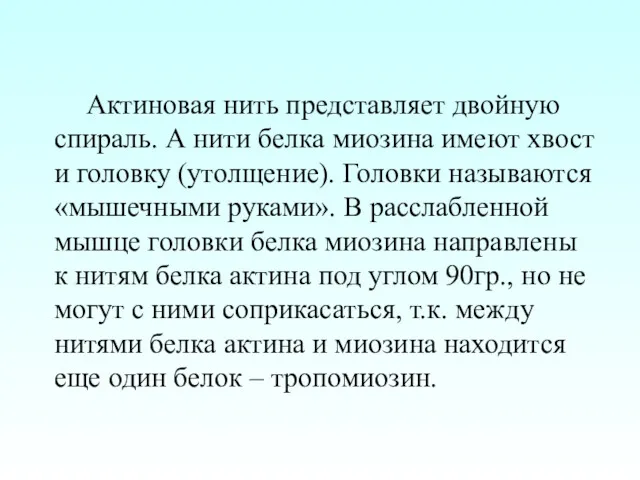 Актиновая нить представляет двойную спираль. А нити белка миозина имеют