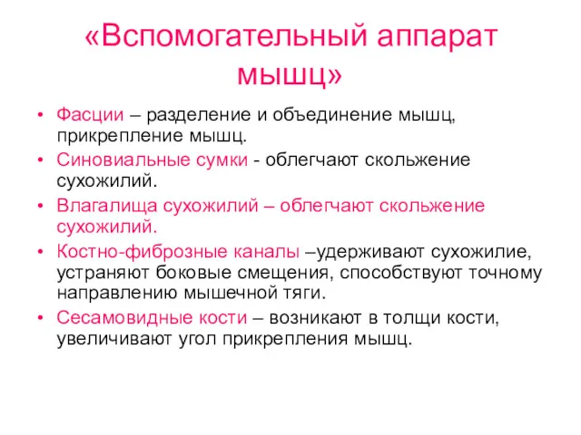 «Вспомогательный аппарат мышц» Фасции – разделение и объединение мышц, прикрепление