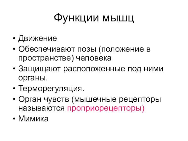 Функции мышц Движение Обеспечивают позы (положение в пространстве) человека Защищают