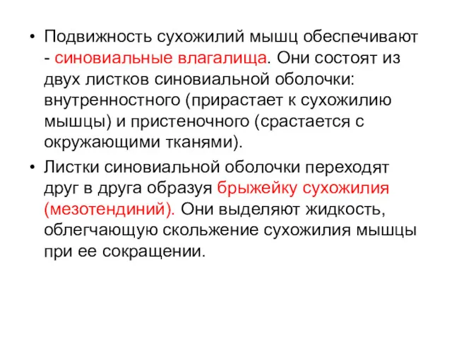 Подвижность сухожилий мышц обеспечивают - синовиальные влагалища. Они состоят из