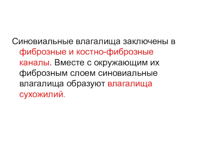 Синовиальные влагалища заключены в фиброзные и костно-фиброзные каналы. Вместе с