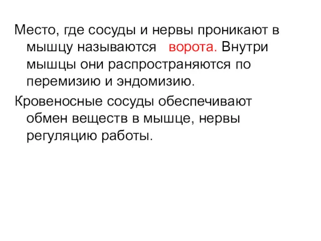 Место, где сосуды и нервы проникают в мышцу называются ворота.