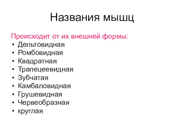 Названия мышц Происходит от их внешней формы: Дельтовидная Ромбовидная Квадратная Трапецеевидная Зубчатая Камбаловидная Грушевидная Червеобразная круглая