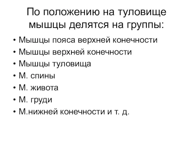 По положению на туловище мышцы делятся на группы: Мышцы пояса