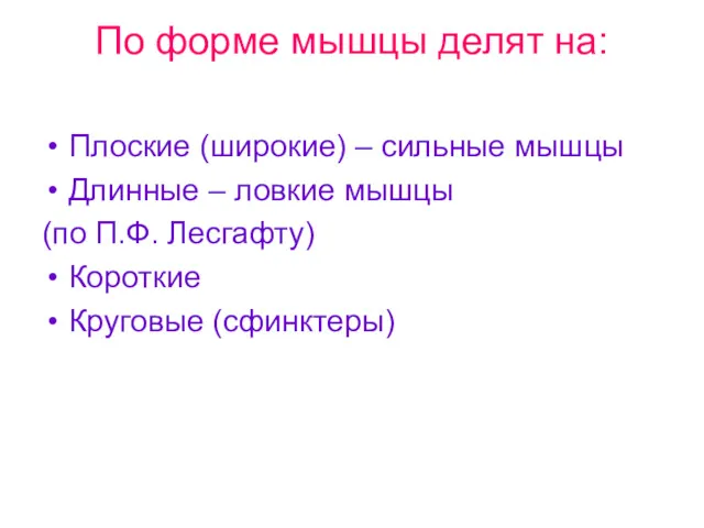 По форме мышцы делят на: Плоские (широкие) – сильные мышцы