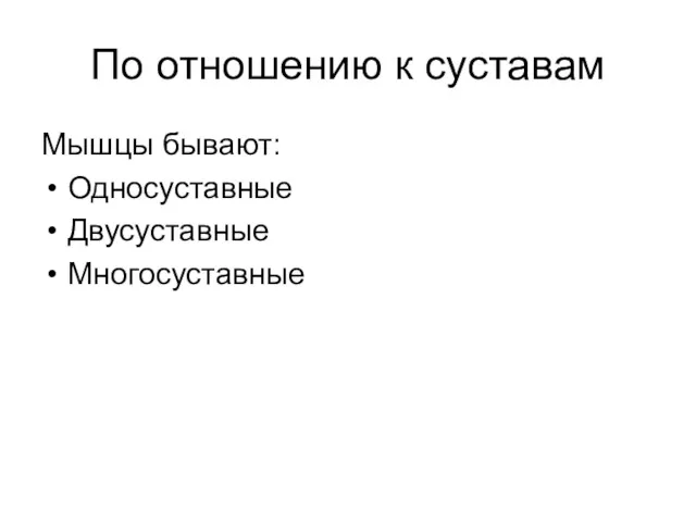 По отношению к суставам Мышцы бывают: Односуставные Двусуставные Многосуставные