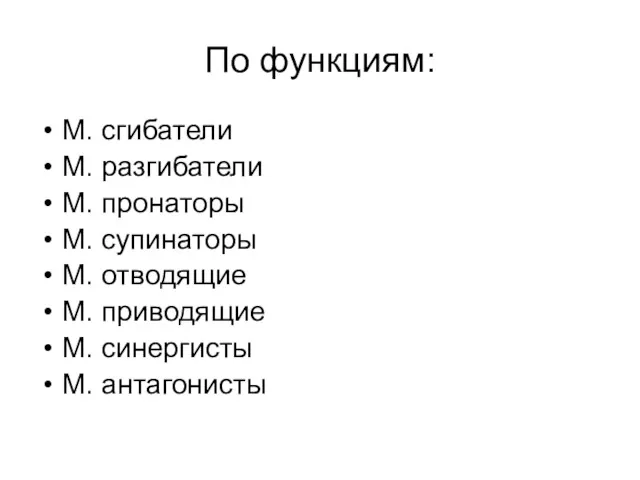 По функциям: М. сгибатели М. разгибатели М. пронаторы М. супинаторы