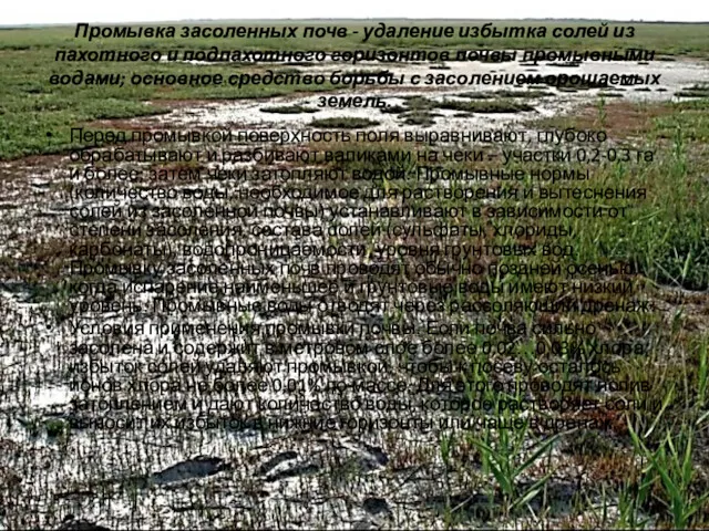 Промывка засоленных почв - удаление избытка солей из пахотного и подпахотного горизонтов почвы