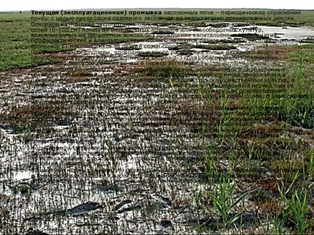 Текущая (эксплуатационная) промывка засоленных почв – периодическое опреснение почвы с целью ликвидации сезонного