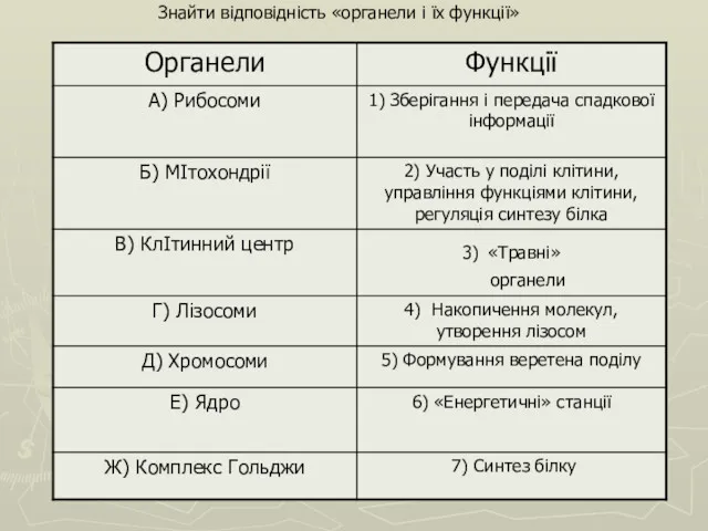 Знайти відповідність «органели і їх функції»