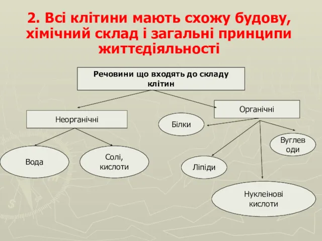 2. Всі клітини мають схожу будову, хімічний склад і загальні