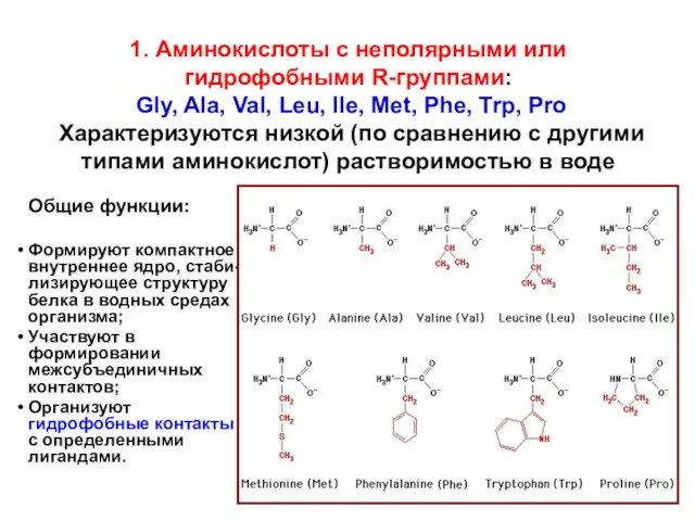 1. Аминокислоты с неполярными или гидрофобными R-группами: Gly, Ala, Val, Leu, Ile, Met,