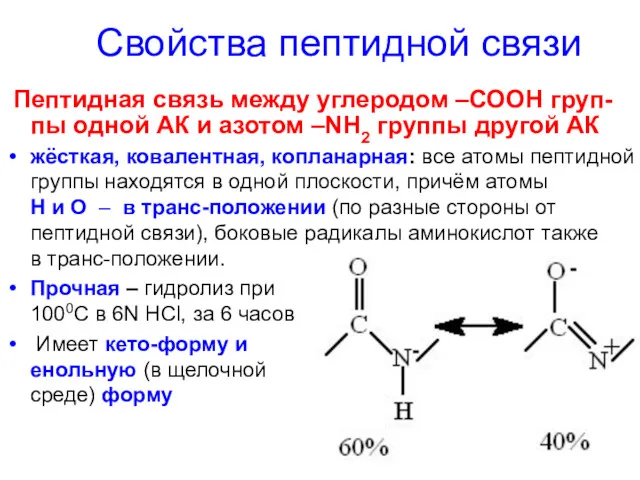 Свойства пептидной связи Пептидная связь между углеродом –СООН груп-пы одной