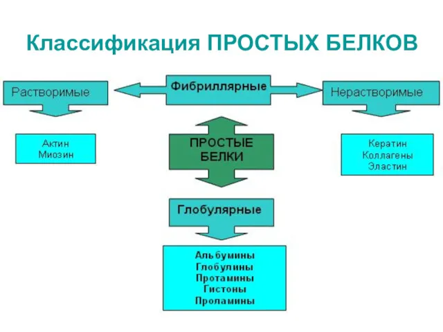 Классификация ПРОСТЫХ БЕЛКОВ