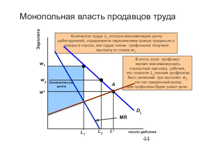 SL DL MR Монопольная власть продавцов труда число рабочих Зарплата A L* w*