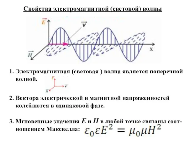 1. Электромагнитная (световая ) волна является поперечной волной. 2. Вектора