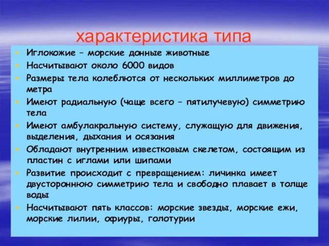 характеристика типа Иглокожие – морские донные животные Насчитывают около 6000