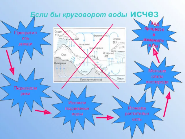 Ход процессов изменился бы Меньше стало кислорода Исчезла растительность Иссякли