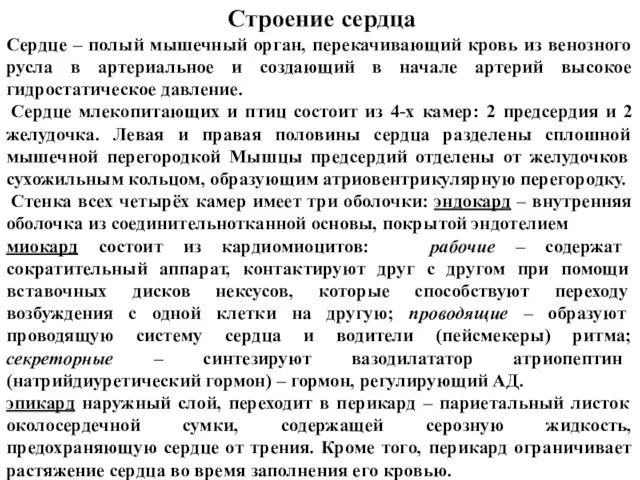 Строение сердца Сердце – полый мышечный орган, перекачивающий кровь из