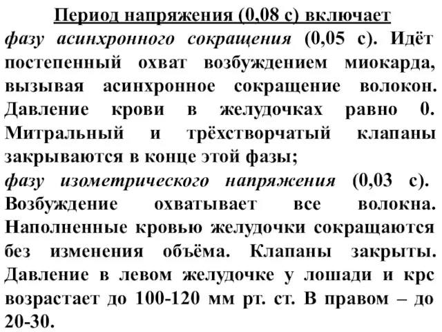 Период напряжения (0,08 с) включает фазу асинхронного сокращения (0,05 с).