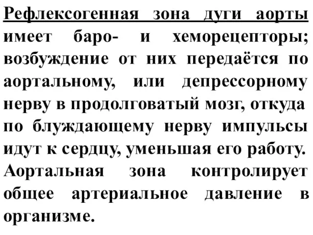 Рефлексогенная зона дуги аорты имеет баро- и хеморецепторы; возбуждение от