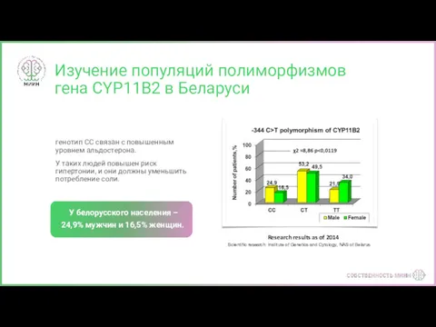 Изучение популяций полиморфизмов гена CYP11B2 в Беларуси генотип CC связан