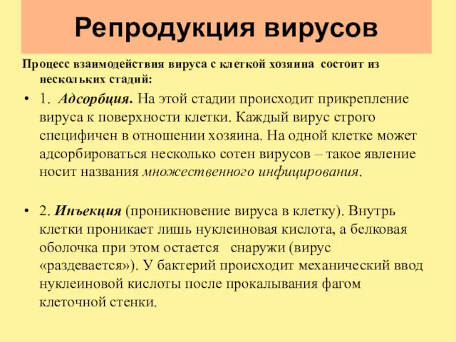 Репродукция вирусов Процесс взаимодействия вируса с клеткой хозяина состоит из