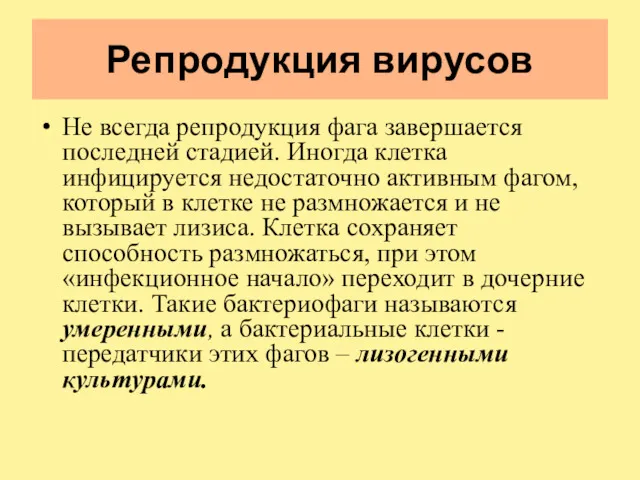 Репродукция вирусов Не всегда репродукция фага завершается последней стадией. Иногда