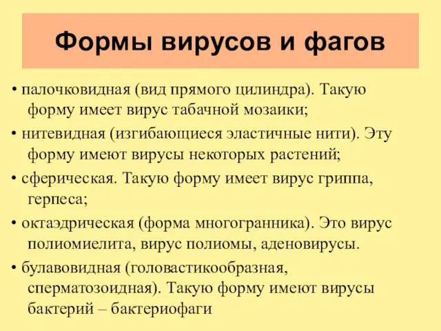 Формы вирусов и фагов • палочковидная (вид прямого цилиндра). Такую