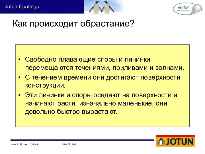 Как происходит обрастание? Свободно плавающие споры и личинки перемещаются течениями,