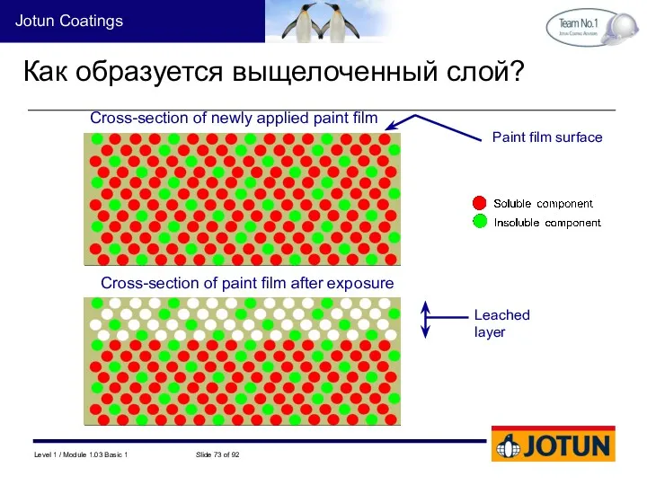 Как образуется выщелоченный слой? Paint film surface