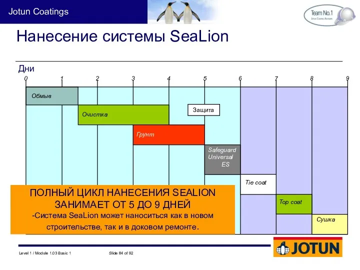 Нанесение системы SeaLion Обмыв Очистка Грунт Safeguard Universal ES Tie