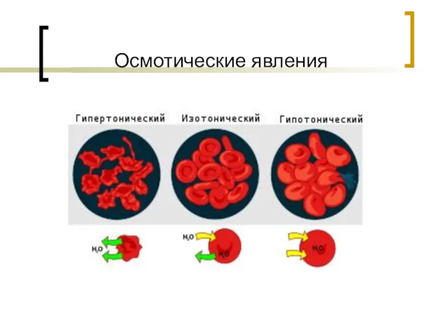 Осмотические явления